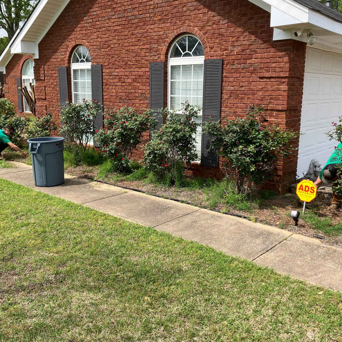 The Secret to Weed-Free Mulch Beds: A Pro’s Guide to Long-Term Prevention